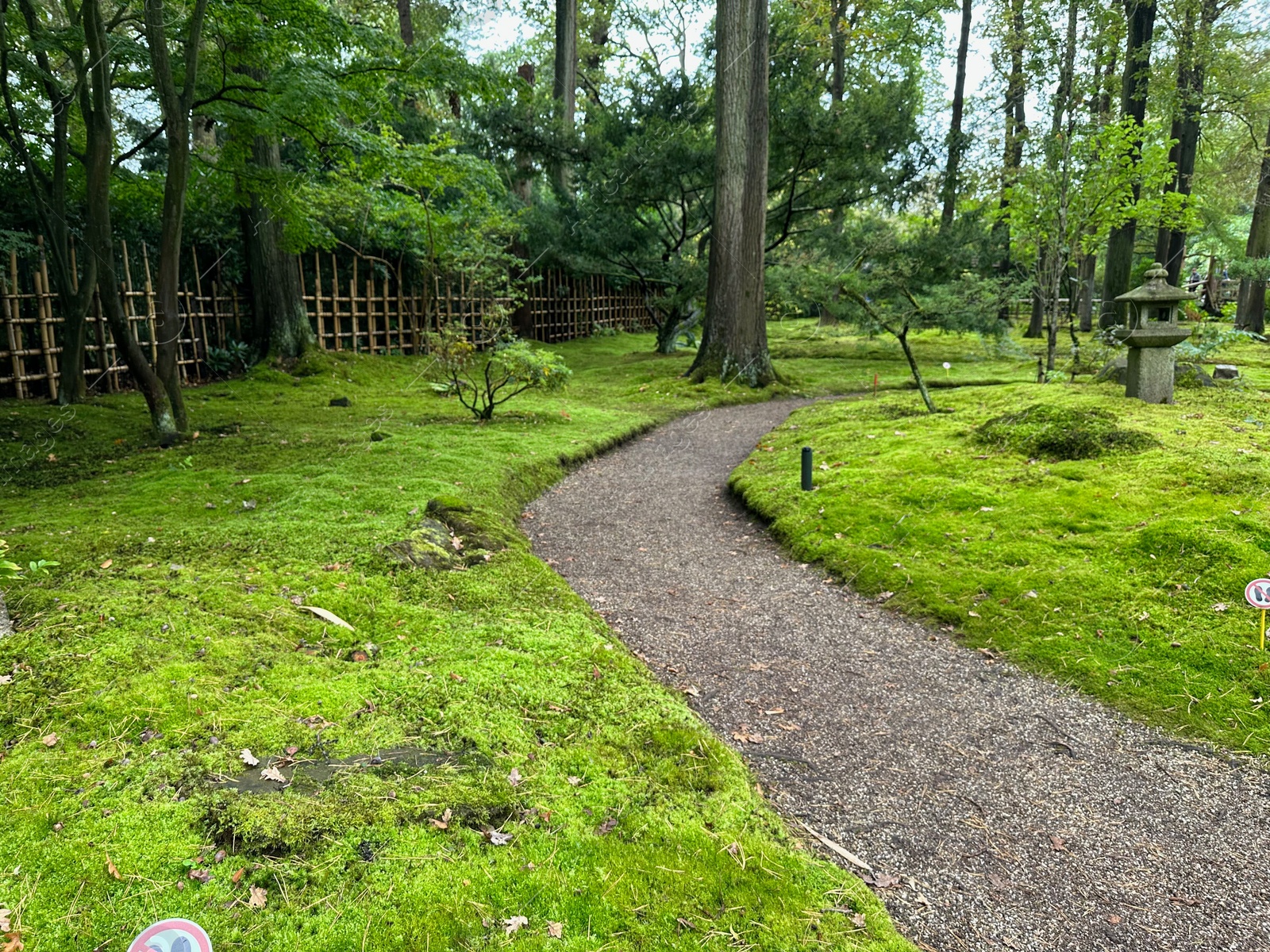Photo of Bright moss, different plants and stone lantern near pathway in Japanese garden