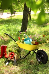 Wheelbarrow with gardening tools and flowers on grass outside