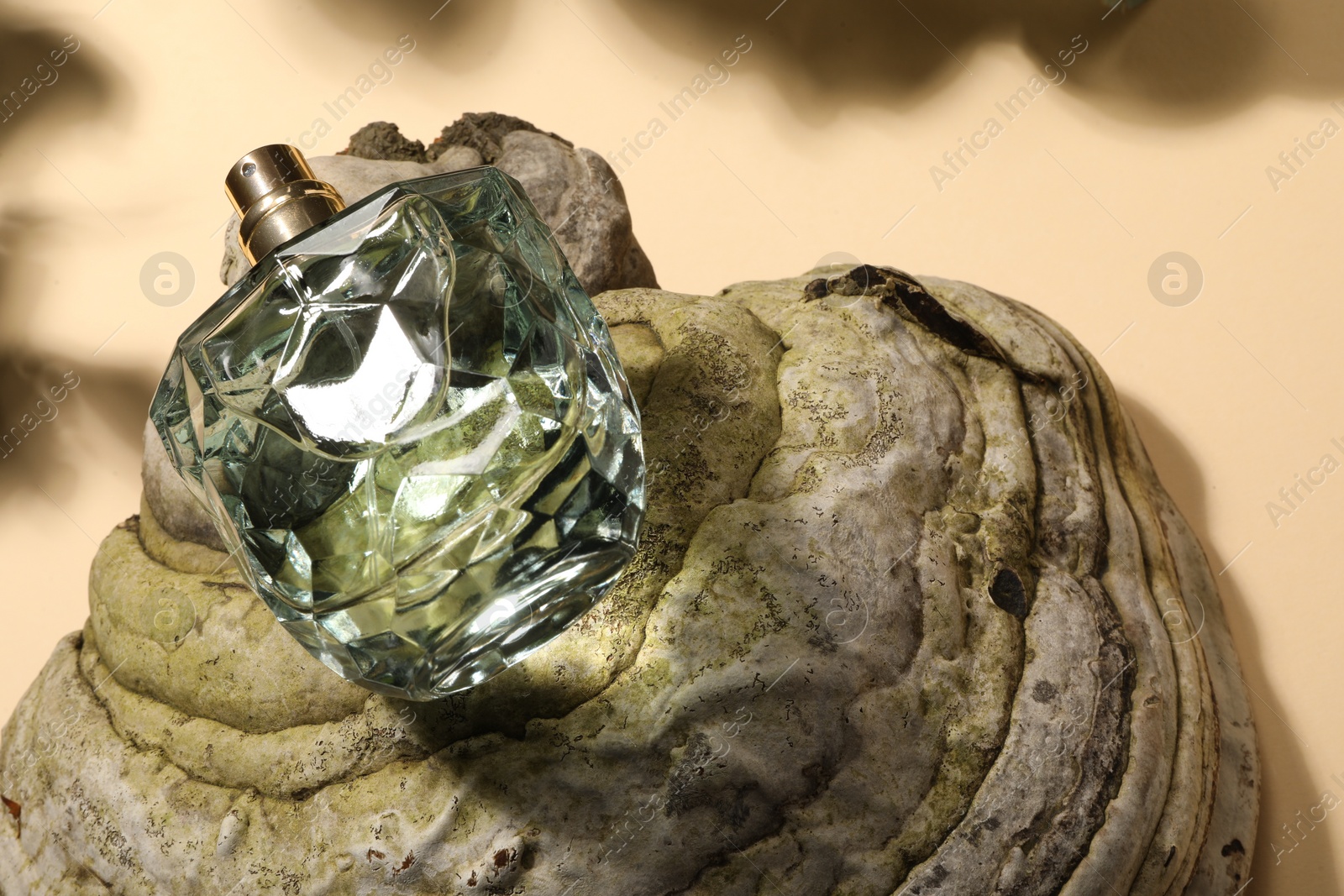 Photo of Luxury perfume in bottle and decorative element on beige background