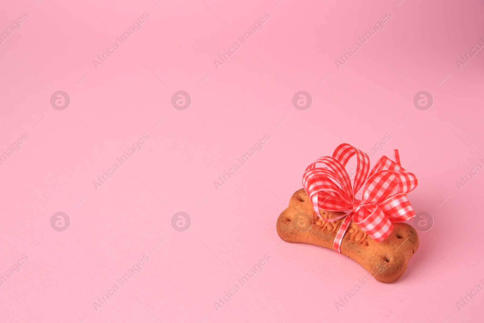 Photo of Bone shaped dog cookie with bright bow on pink background. Space for text