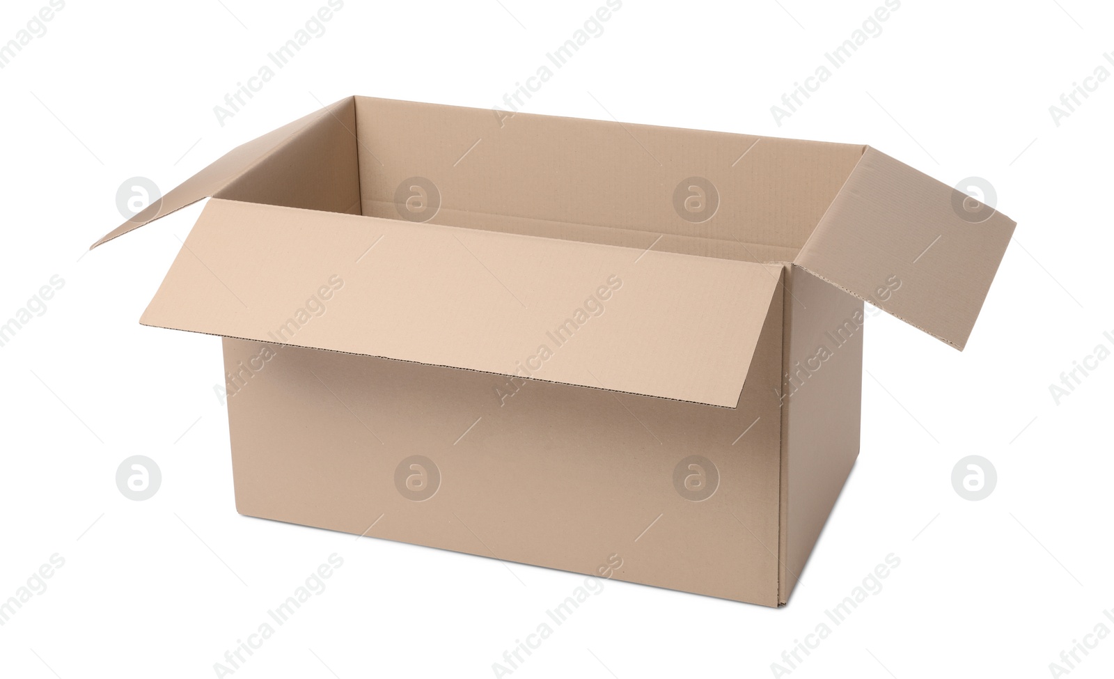 Photo of One open cardboard box isolated on white