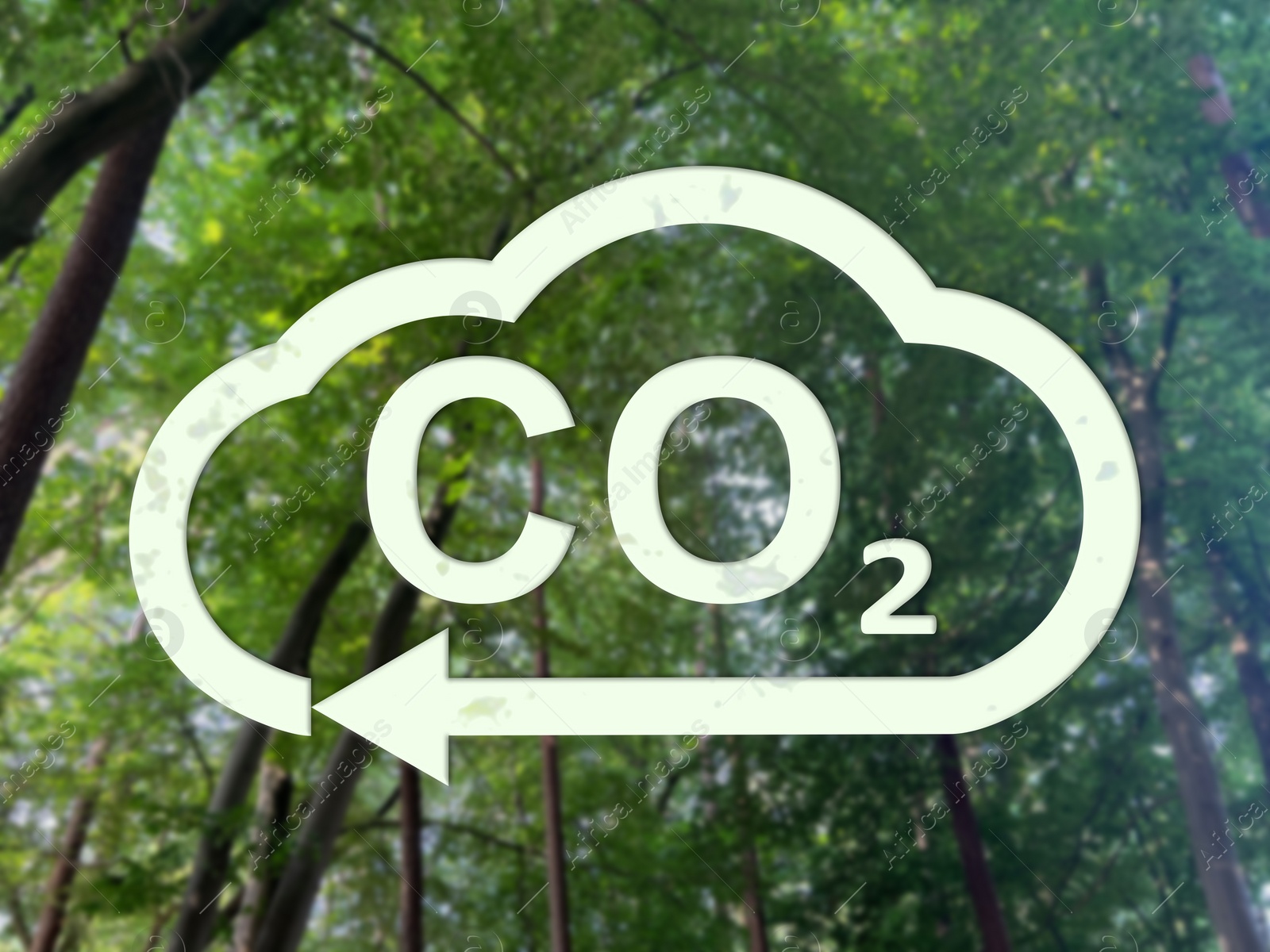 Image of Concept of clear air. CO2 inscription in illustration of cloud with arrow and beautiful forest, low angle view