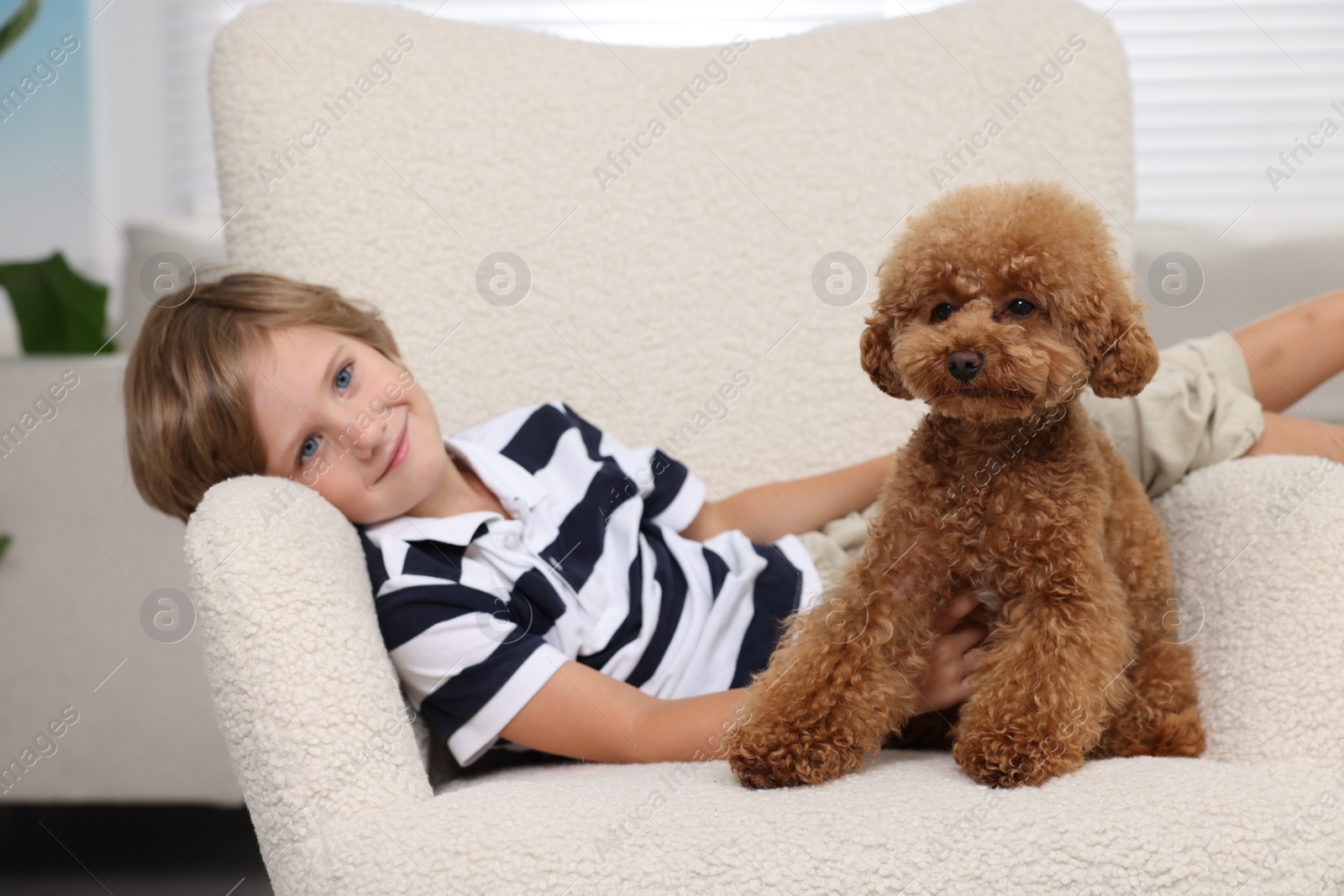 Photo of Little child with cute puppy in armchair indoors. Lovely pet