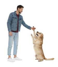 Photo of Cute Labrador Retriever giving paw to happy man on white background