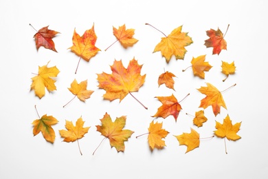 Flat lay composition with autumn leaves on white background