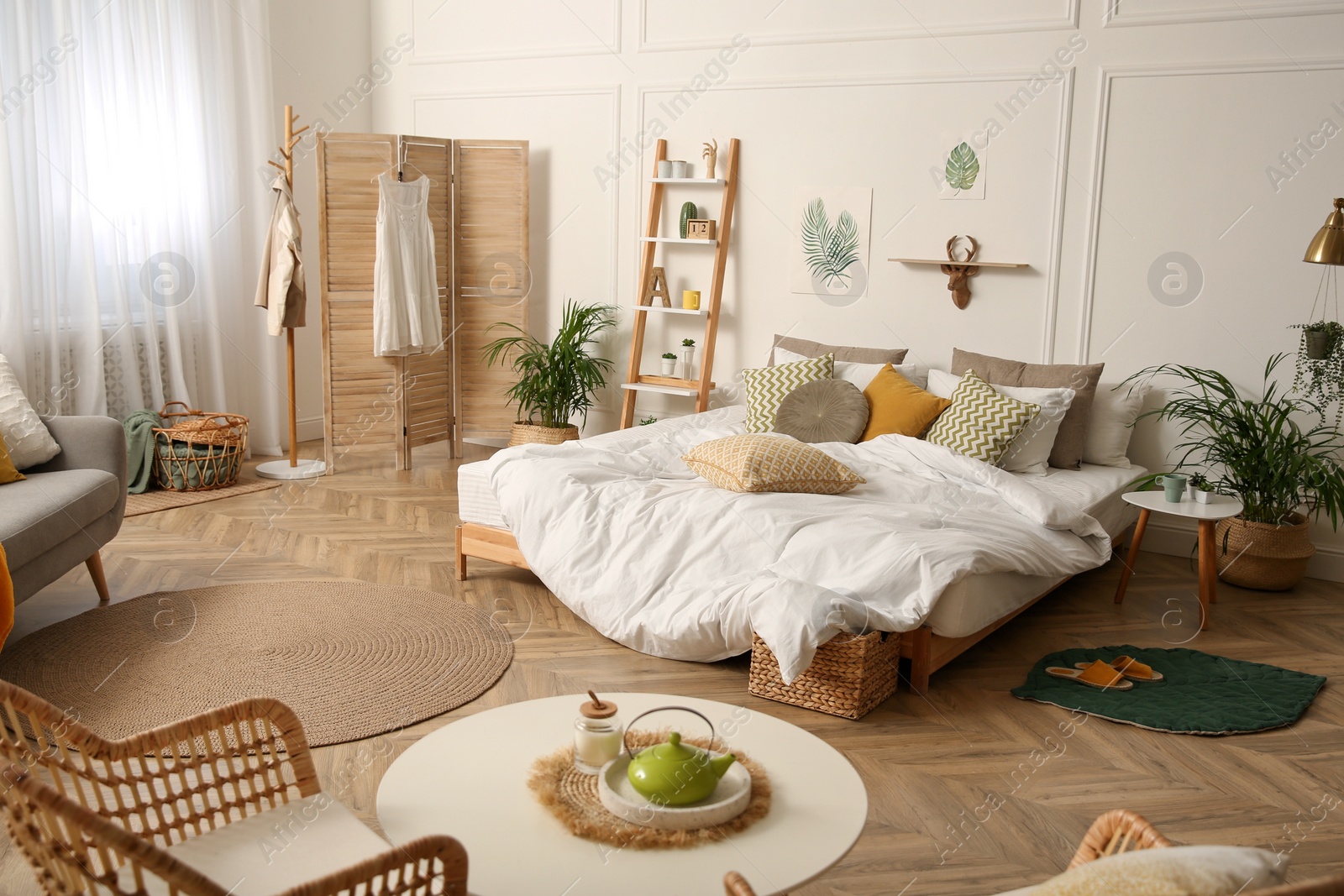 Photo of Beautiful fresh house plants in contemporary bedroom