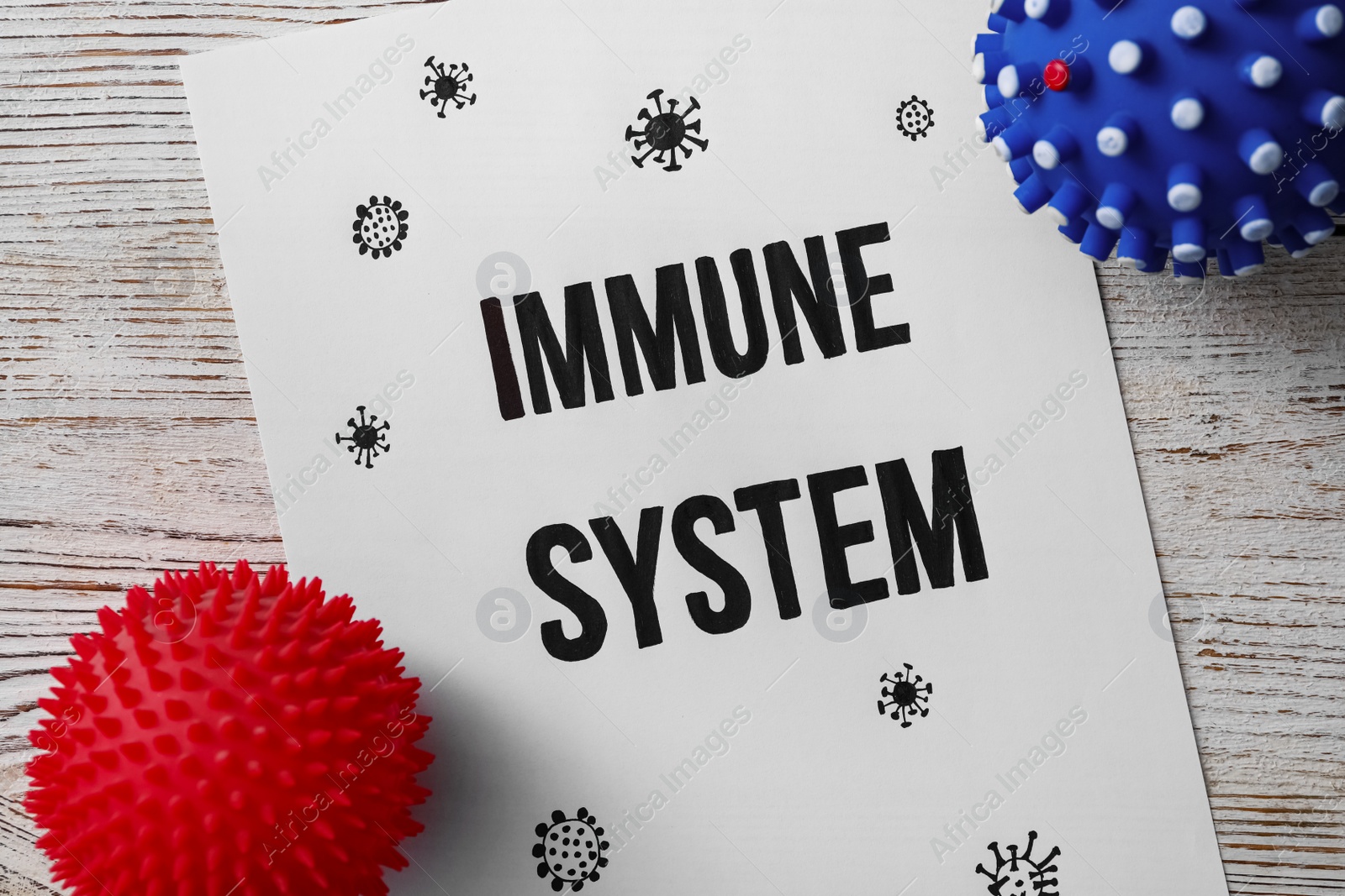 Photo of Paper sheet with text Immune System on white wooden table, flat lay