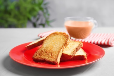 Plate with toasted bread on table