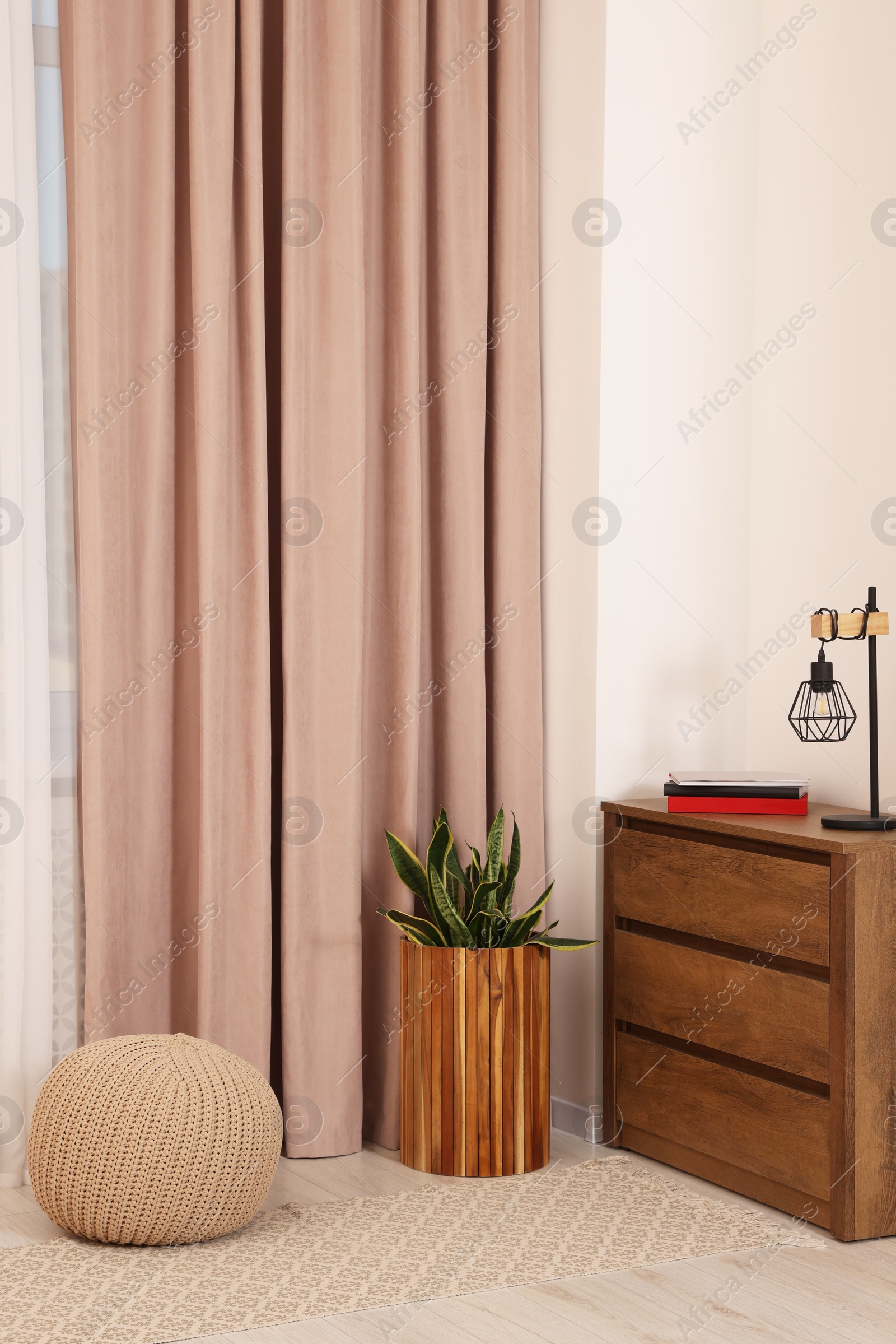 Photo of Stylish room interior with chest of drawers, houseplant and curtains