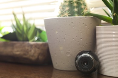 Photo of Small camera hidden among houseplants on wooden windowsill