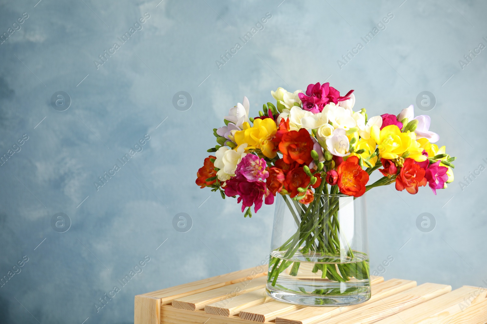 Photo of Bouquet of spring freesia flowers in vase on color background. Space for text