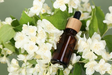 Essential oil in bottle among beautiful jasmine flowers on pale green background, closeup