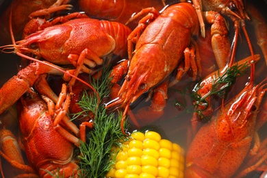Photo of Fresh delicious crayfishes in water, closeup view