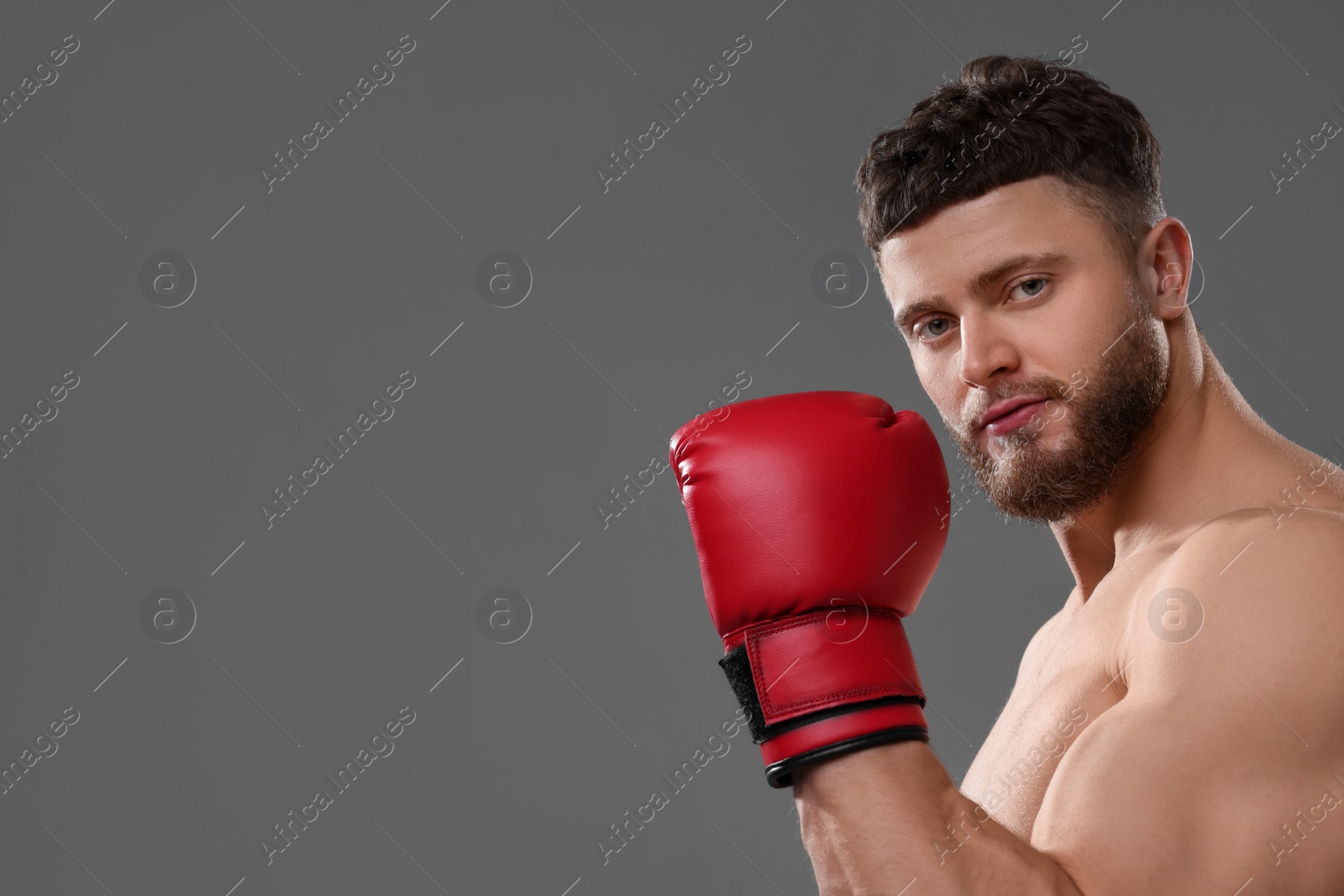 Photo of Man in boxing gloves on grey background. Space for text