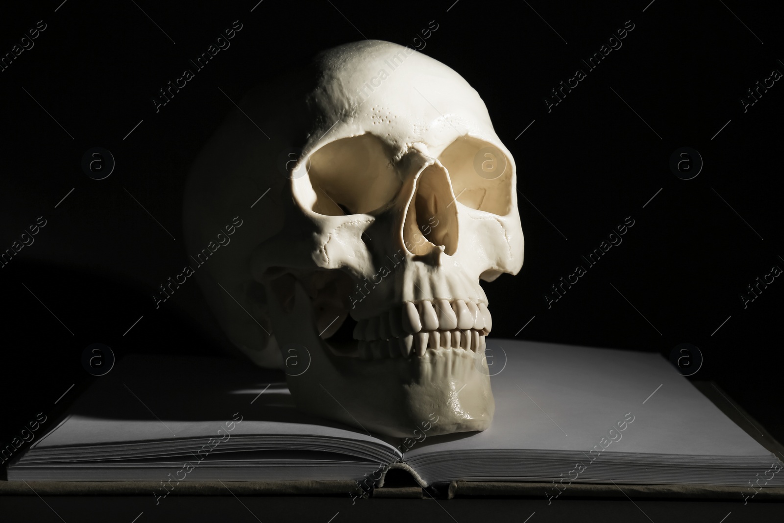 Photo of White human skull with book on black background