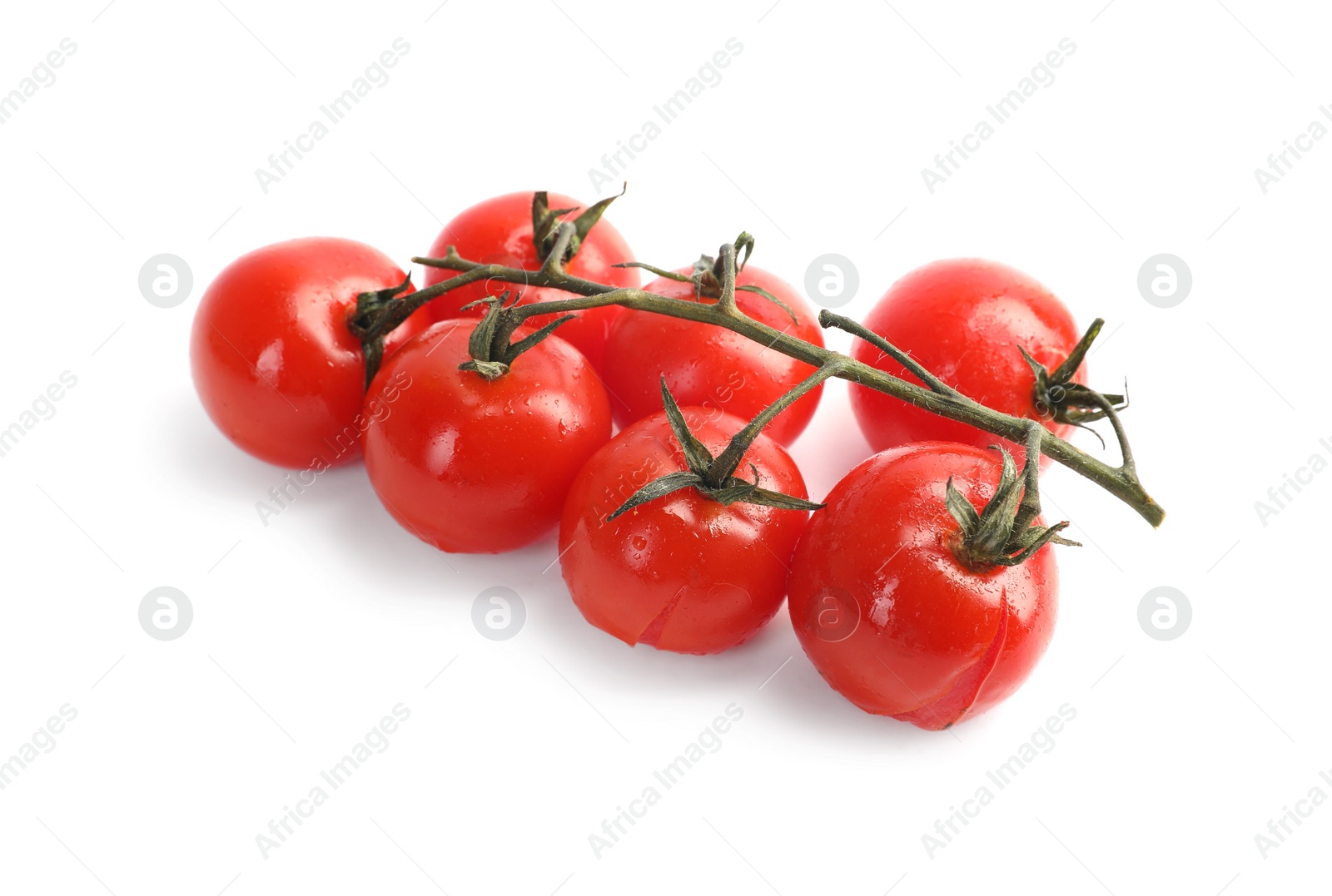 Photo of Branch of red roasted cherry tomatoes isolated on white