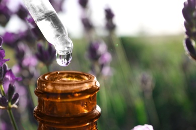 Photo of Dropper with lavender essential oil over bottle in field, closeup. Space for text