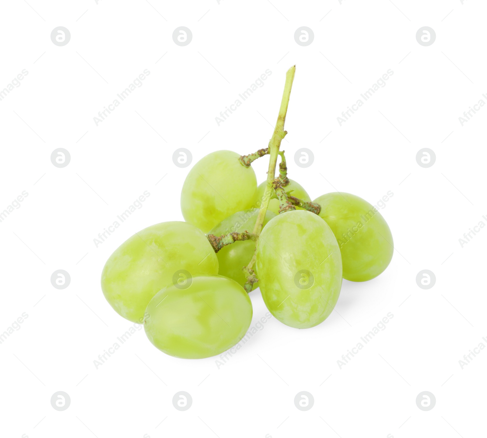 Photo of Fresh ripe juicy grapes isolated on white