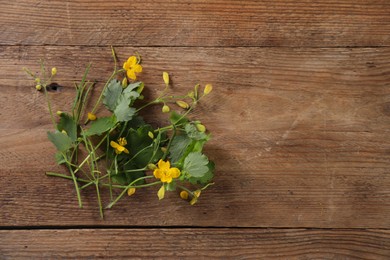 Beautiful celandine flowers on wooden table, top view. Space for text