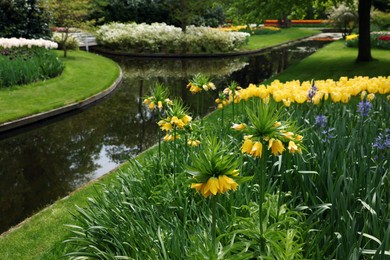 Photo of Park with beautiful flowers and water canal. Spring season