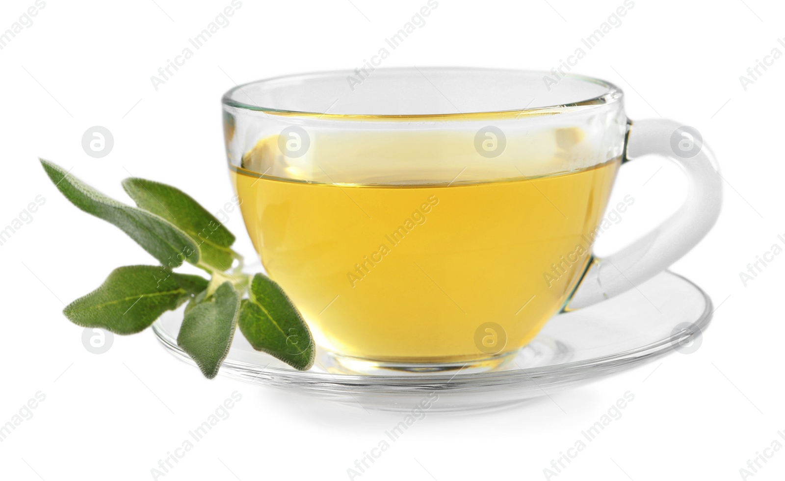 Photo of Cup of aromatic sage tea and fresh leaves isolated on white