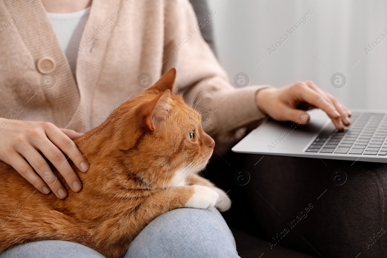 Photo of Woman with cat working at home, closeup