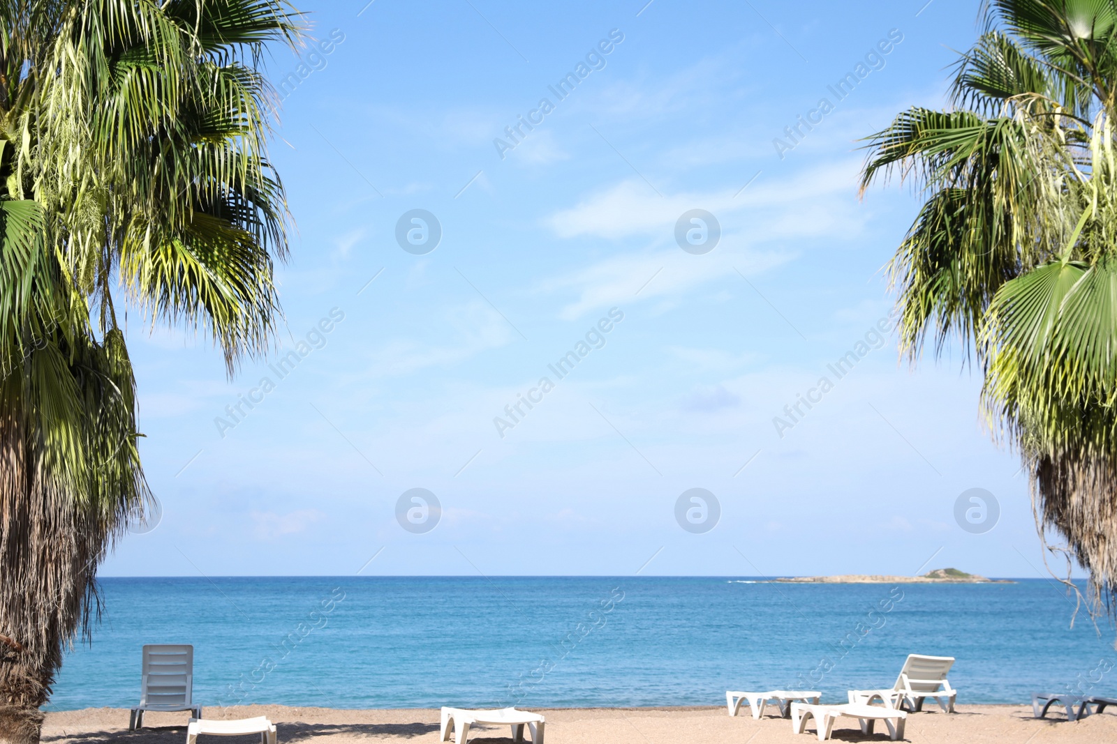 Photo of Beautiful view of sea beach with palm trees on sunny summer day
