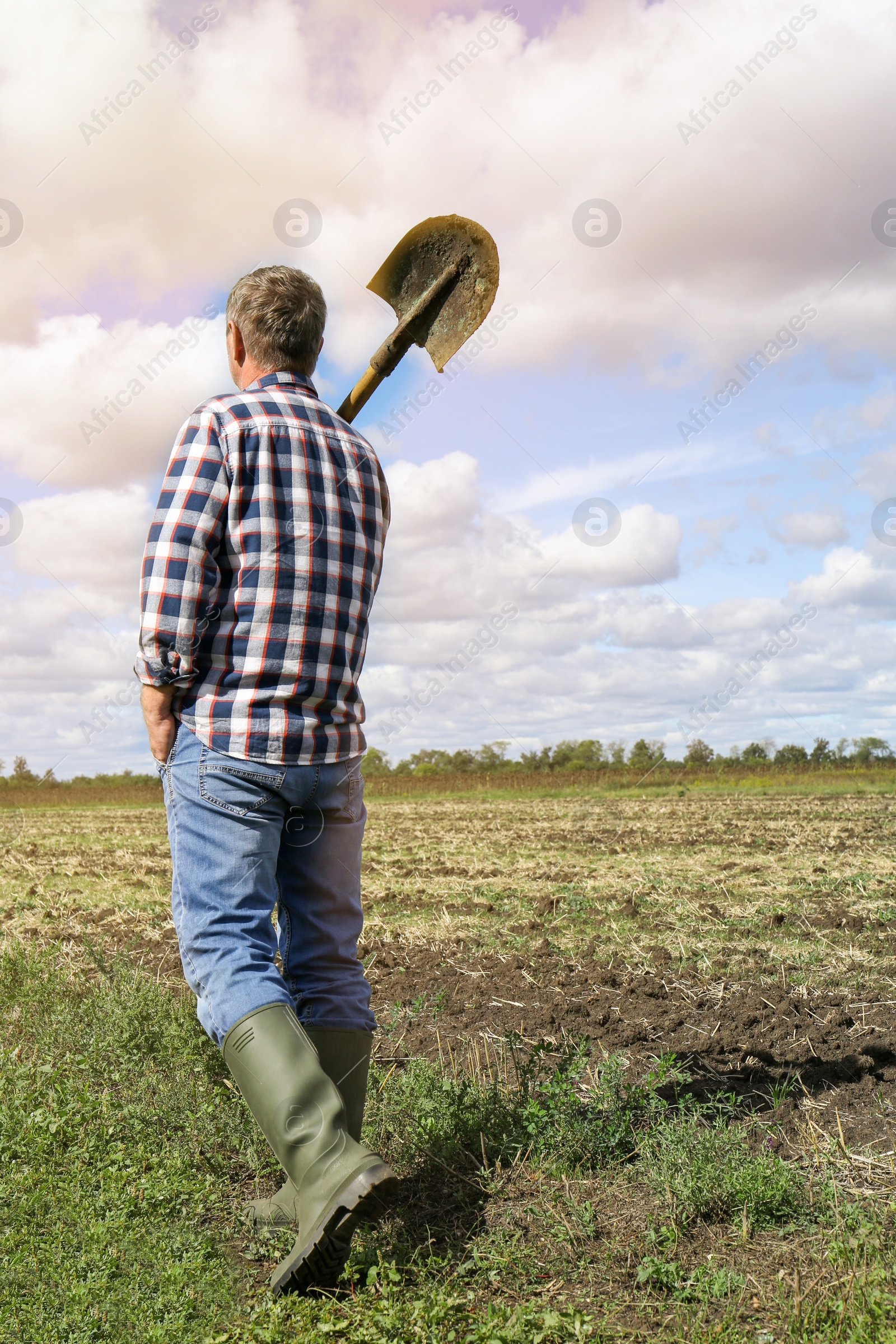 Photo of Man holding shovel in field, back view. Digging process