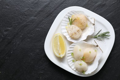 Photo of Raw scallops with green onion, rosemary, lemon and shells on dark textured table, top view. Space for text