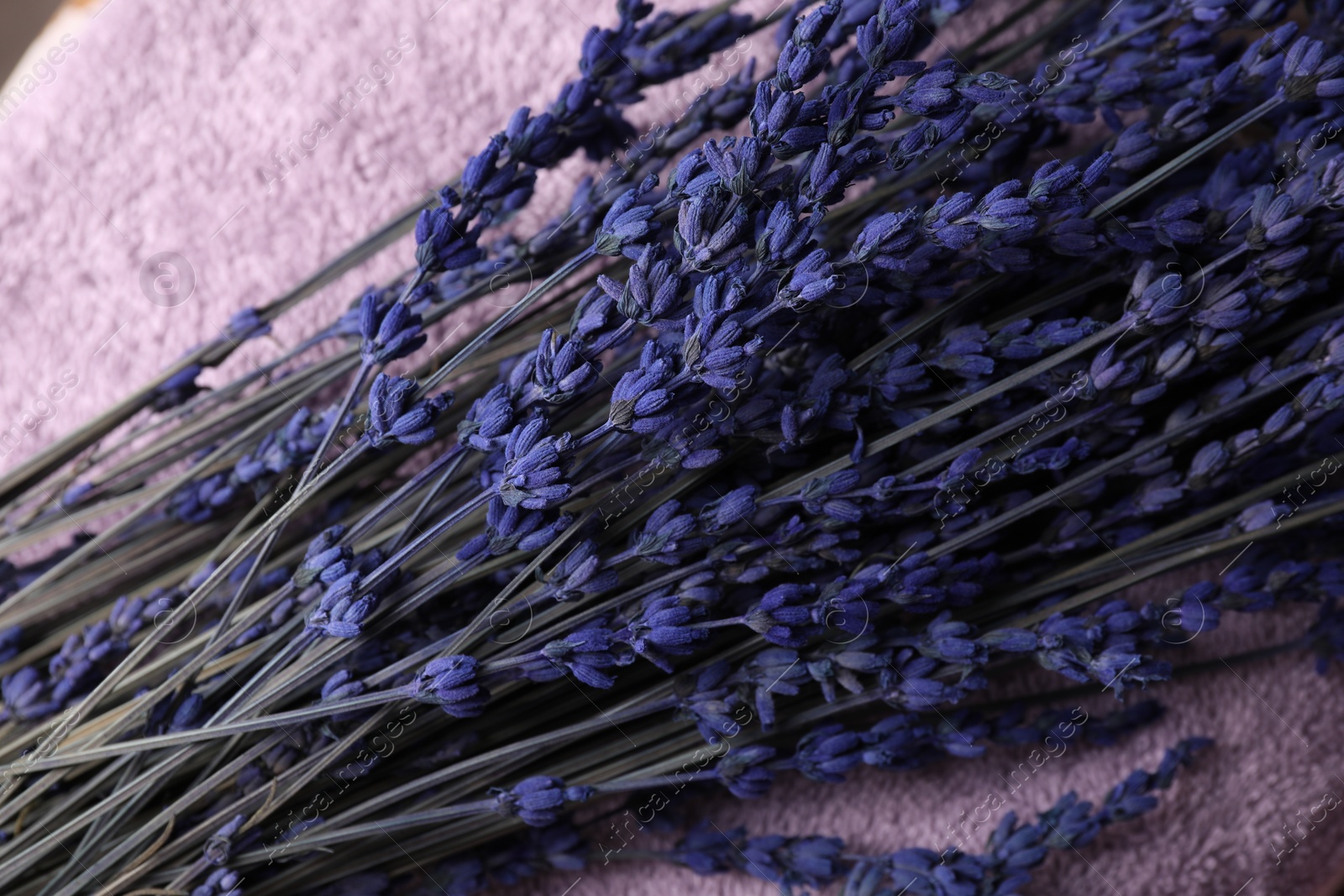 Photo of Bouquet of beautiful lavender flowers on terry towel, top view