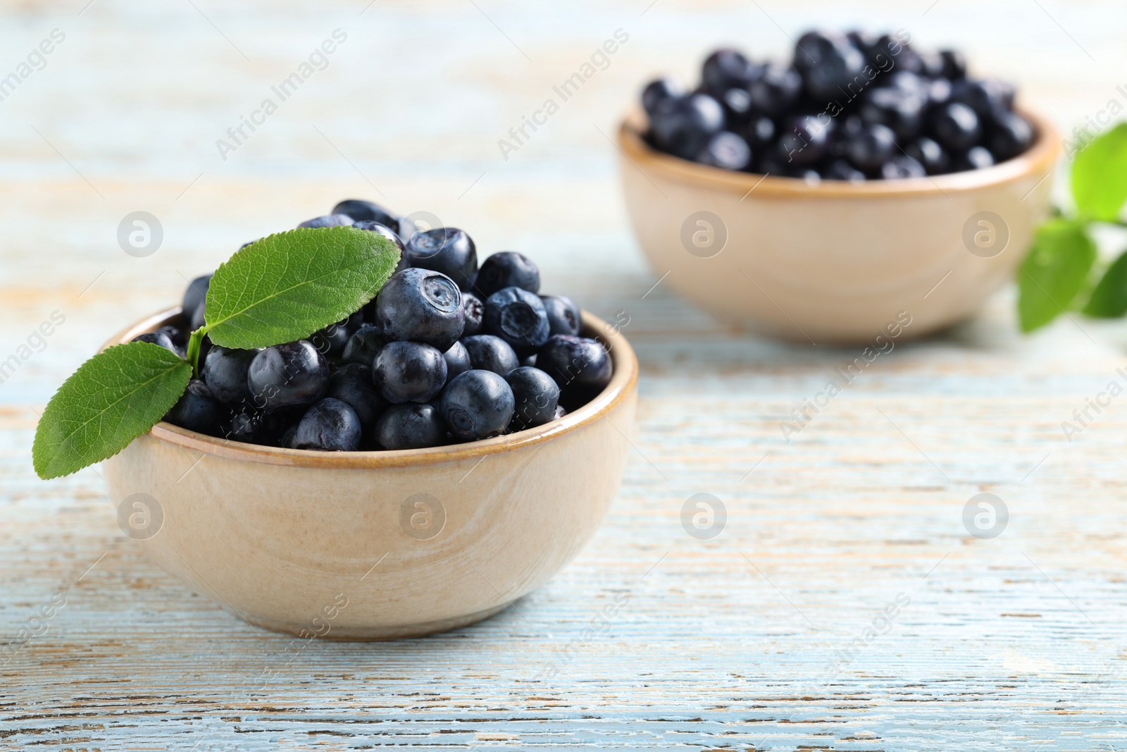 Photo of Tasty fresh bilberries with leaves on old light blue wooden table, space for text