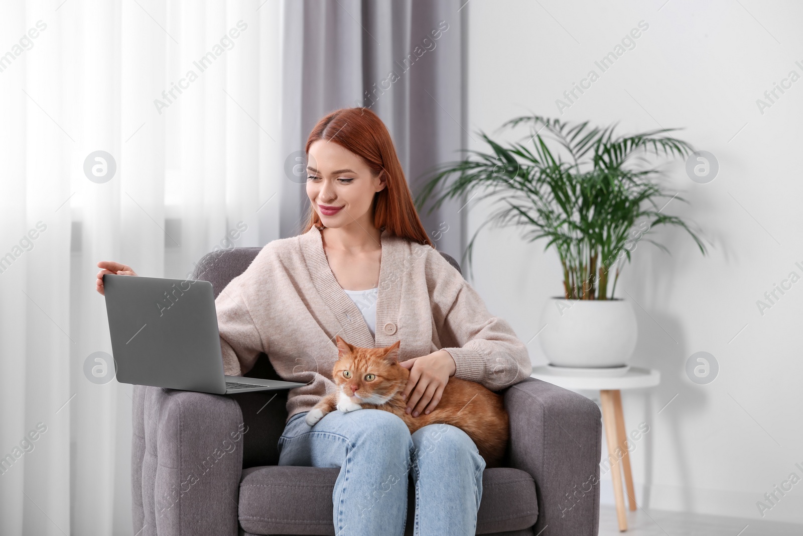 Photo of Woman with cat working in armchair at home