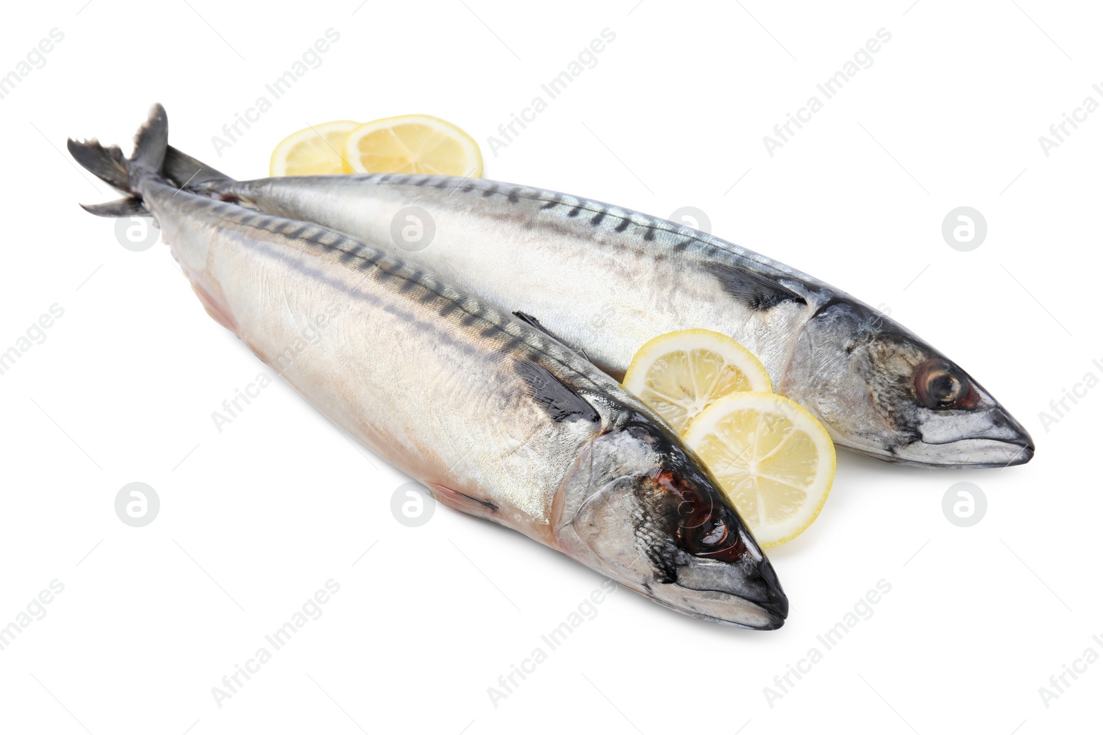 Photo of Raw mackerels and lemons isolated on white