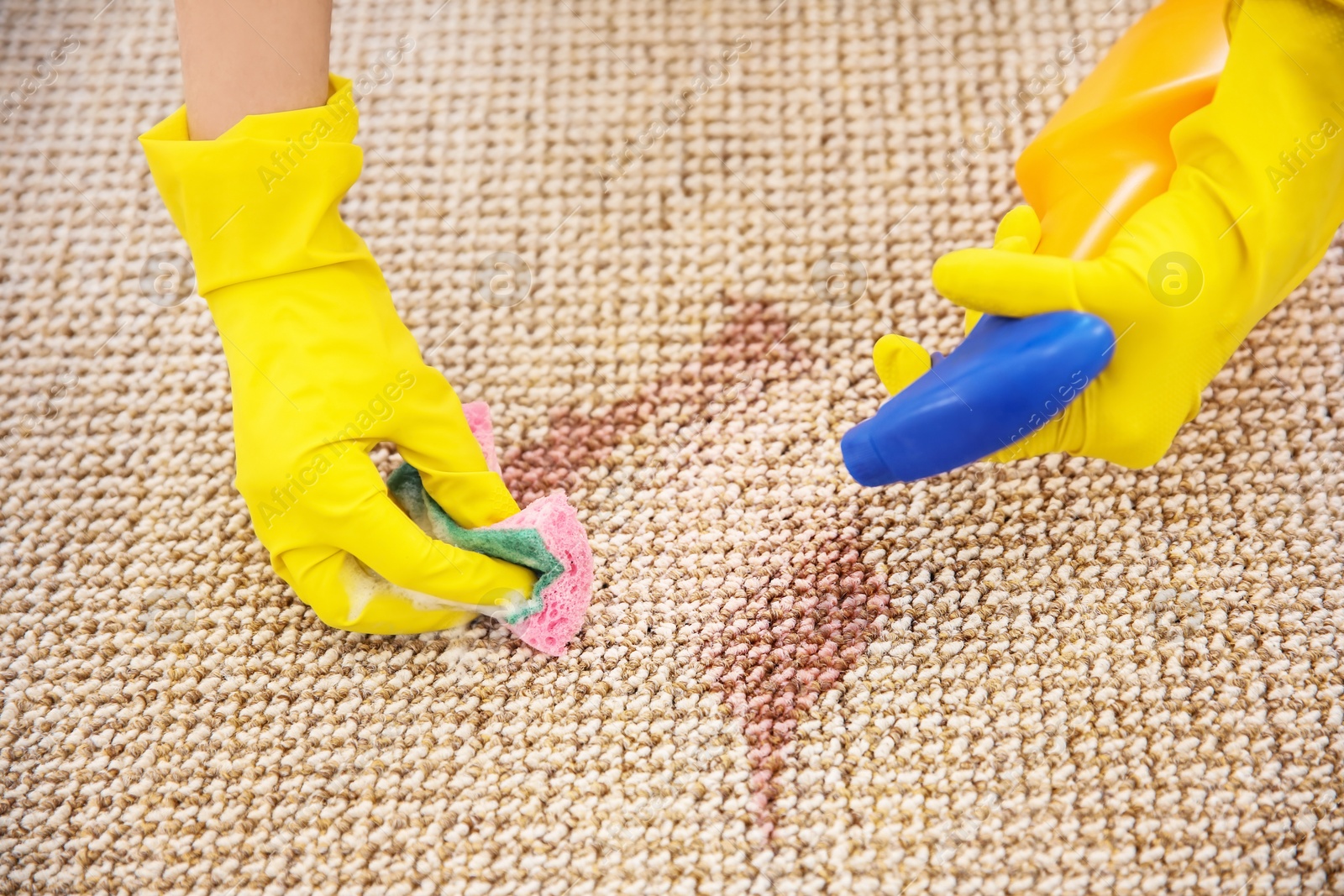 Photo of Woman cleaning carpet, closeup