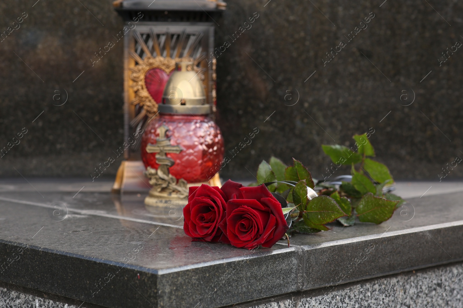 Photo of Red roses and grave light on grey granite tombstone outdoors, space for text. Funeral ceremony