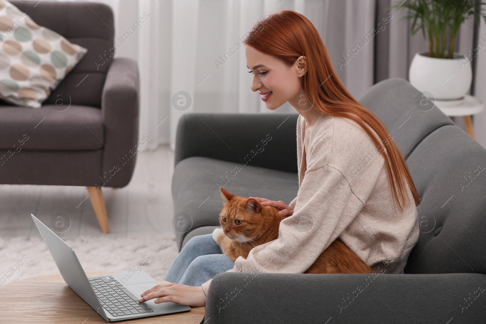 Photo of Happy woman stroking cat while working on sofa at home