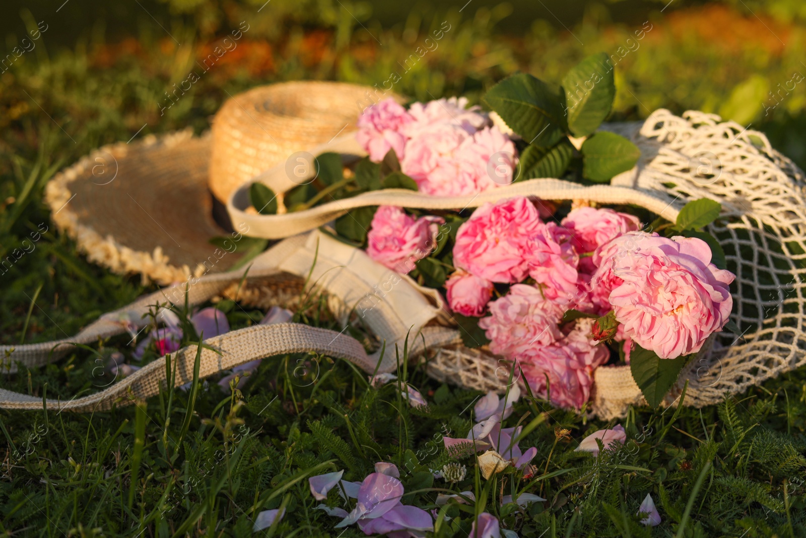 Photo of Mesh bag with beautiful tea roses near straw hat on green grass in garden, closeup