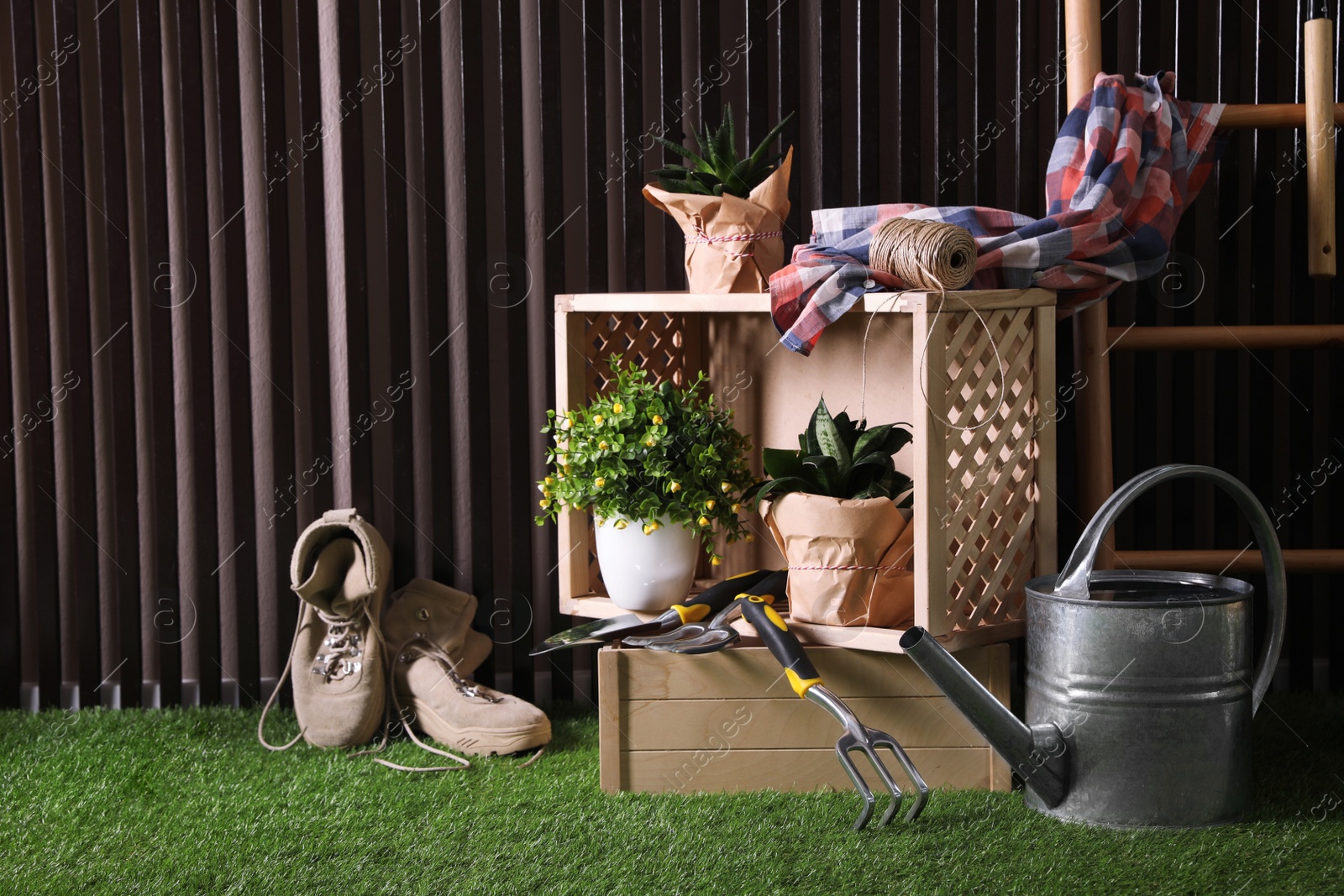 Photo of Beautiful plants, gardening tools and accessories on green grass near wood slat wall