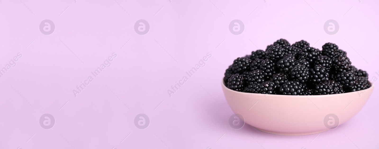 Photo of Fresh ripe blackberries in bowl on light violet background