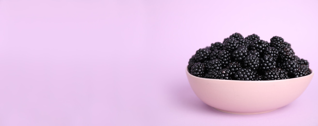 Fresh ripe blackberries in bowl on light violet background