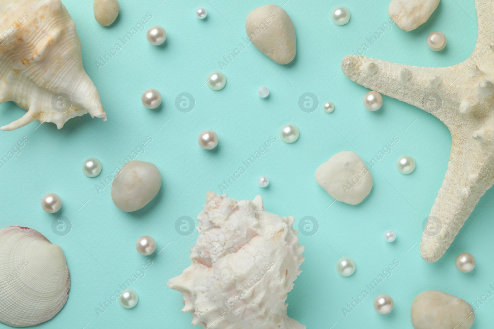 Photo of Beautiful sea shells, starfish, pearls and pebbles on light blue background, flat lay