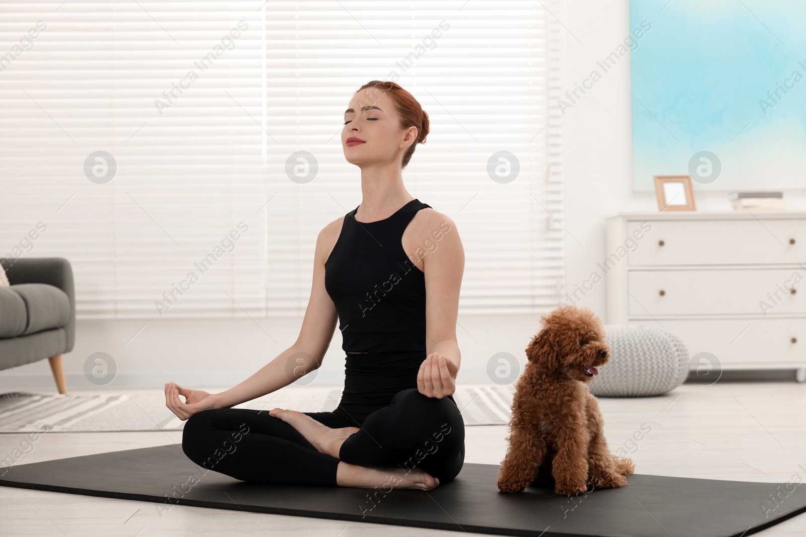 Photo of Young woman practicing yoga on mat with her cute dog at home