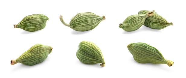 Image of Set with dry cardamom pods on white background. Banner design