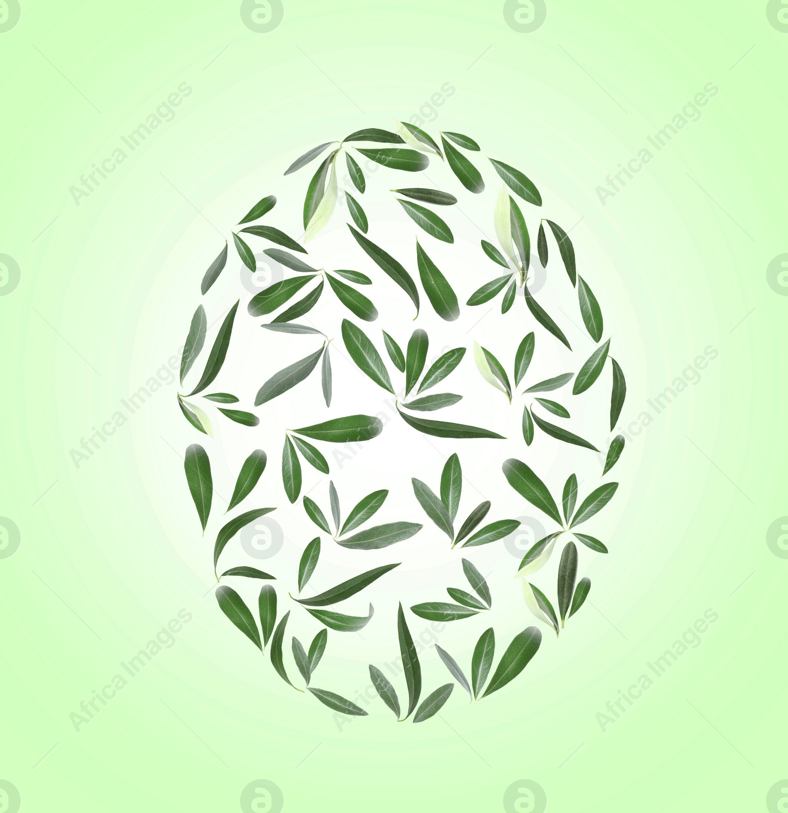 Image of Easter egg shape made of leaves on green background, flat lay 