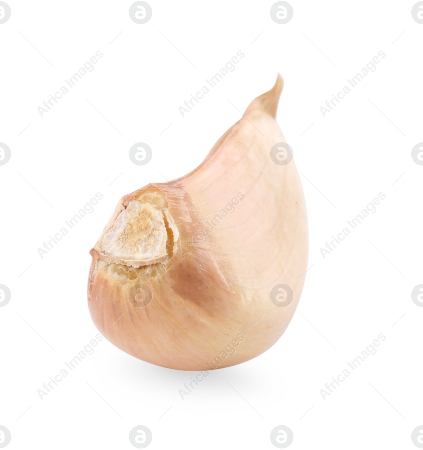 Photo of One clove of garlic isolated on white