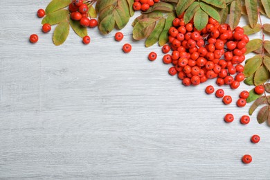 Photo of Fresh ripe rowan berries and green leaves on white wooden table, flat lay. Space for text