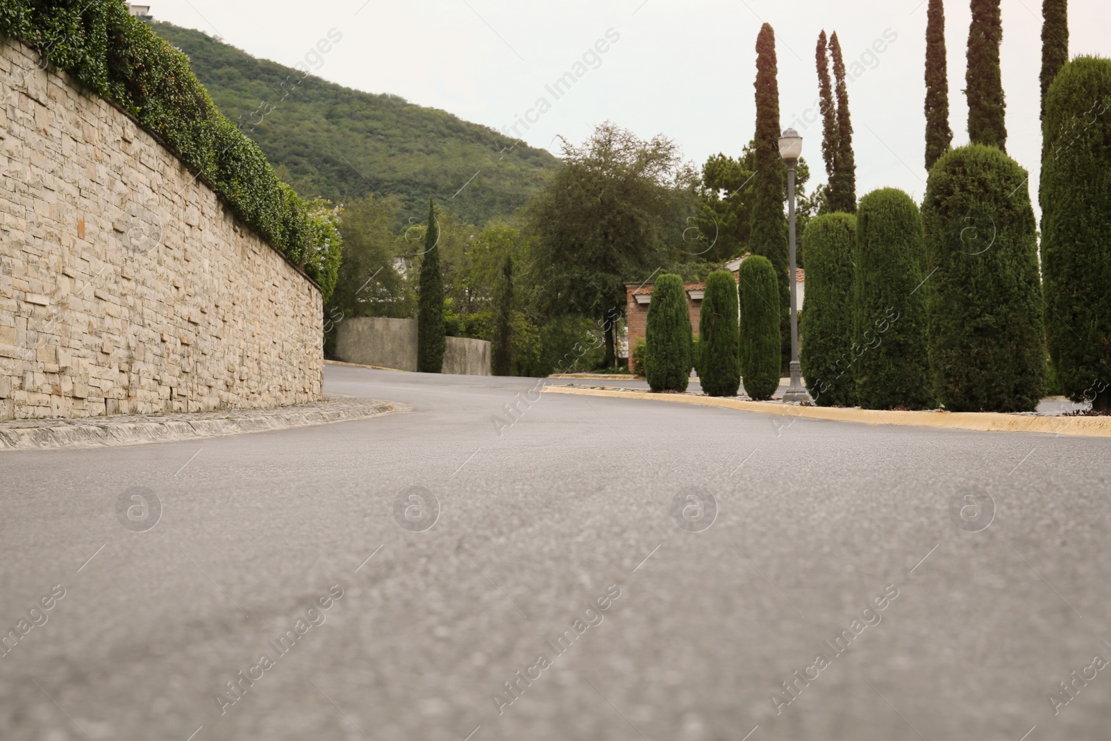 Photo of Picturesque view of road and green trees near mountains