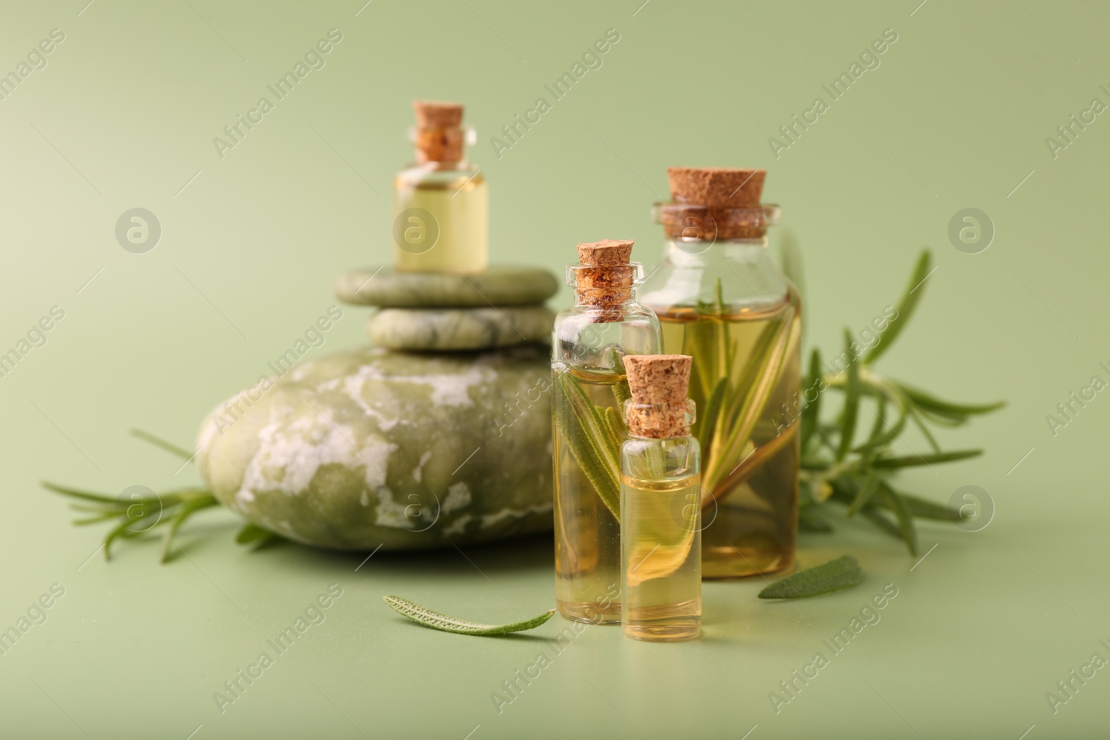 Photo of Aromatic essential oils in bottles, rosemary and pebble stones on green background