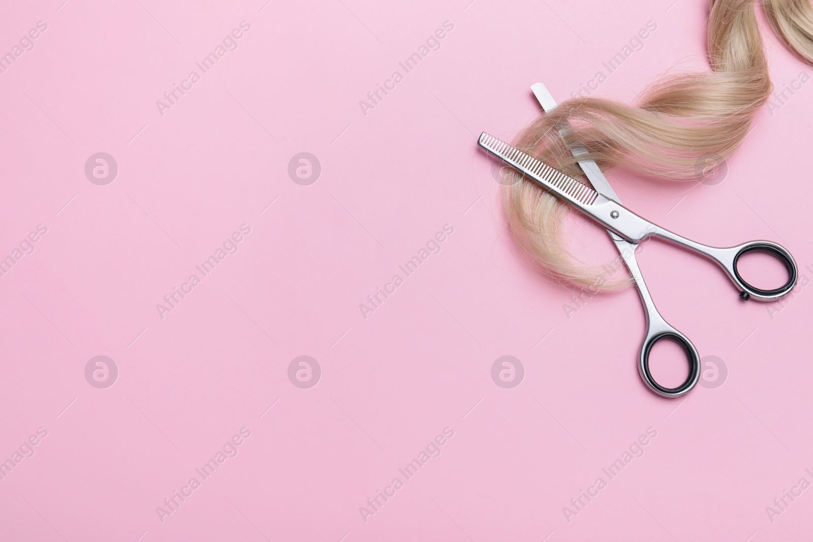 Photo of Professional hairdresser thinning scissors and hair strand on pink background, flat lay with space for text. Haircut tool