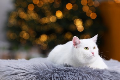 Photo of Christmas atmosphere. Cute cat lying on fur rug in cosy room. Space for text